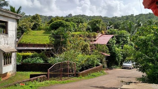 Butterfly Conservatory Of Goa_2_G